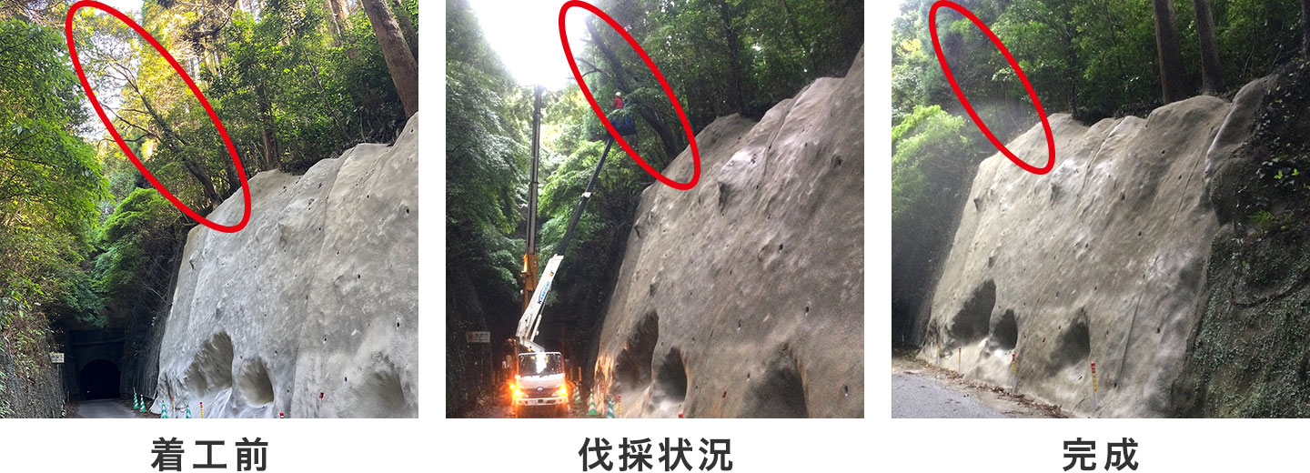 着工前/伐採状況/完成